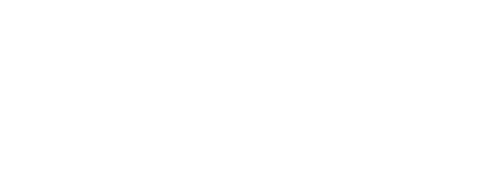 블랙잭 가이드